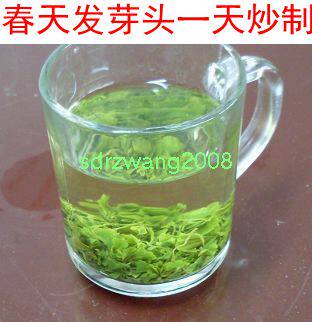 银杏茶银杏叶茶银杏嫩芽茶春天头一天小嫩芽采摘炒29.9元50克包邮