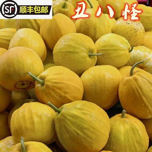 湖北现摘新鲜水果黄金香瓜