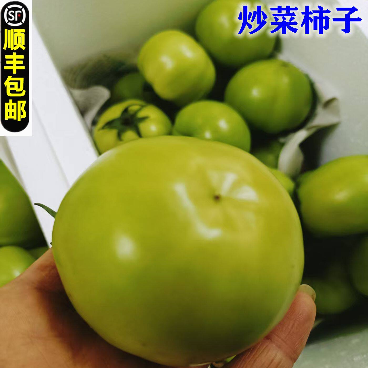 青番茄炒菜柿子绿皮未成熟西红柿