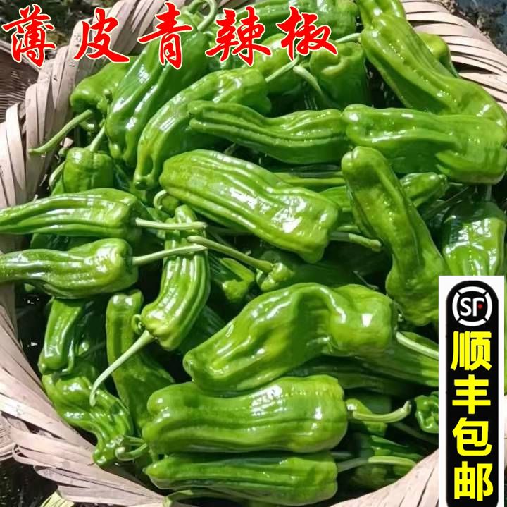 泡椒新鲜青椒虎皮辣椒薄皮