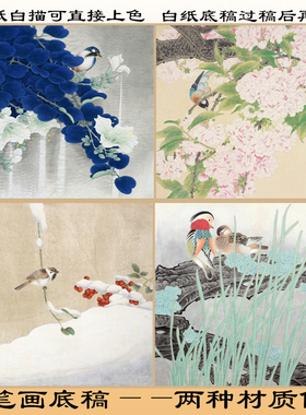 工笔画底稿直接上色熟宣花鸟白描
