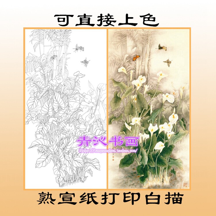 n179梁燕生马蹄莲花鸟工笔画熟宣纸白描底稿印刷品可直接上色条幅