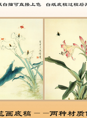 工笔画白描底稿上色茶花宣纸画稿