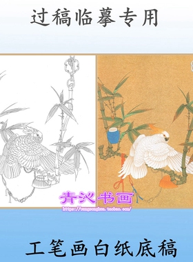 N105花鸟工笔画白描底稿实物白纸线描画稿临摹过稿鹦鹉条幅任重