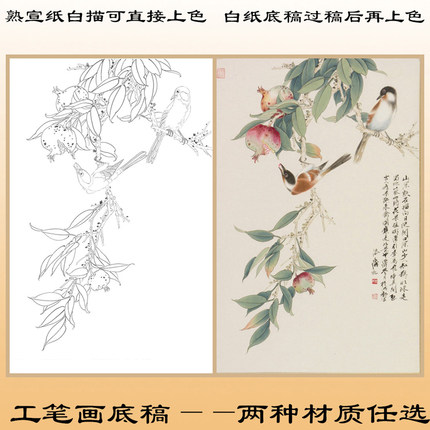 K4多子多福图工笔画白描熟宣纸底稿线描蔬果画稿石榴小鸟条幅