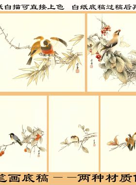 小鸟竹子花鸟工笔画熟宣纸白描
