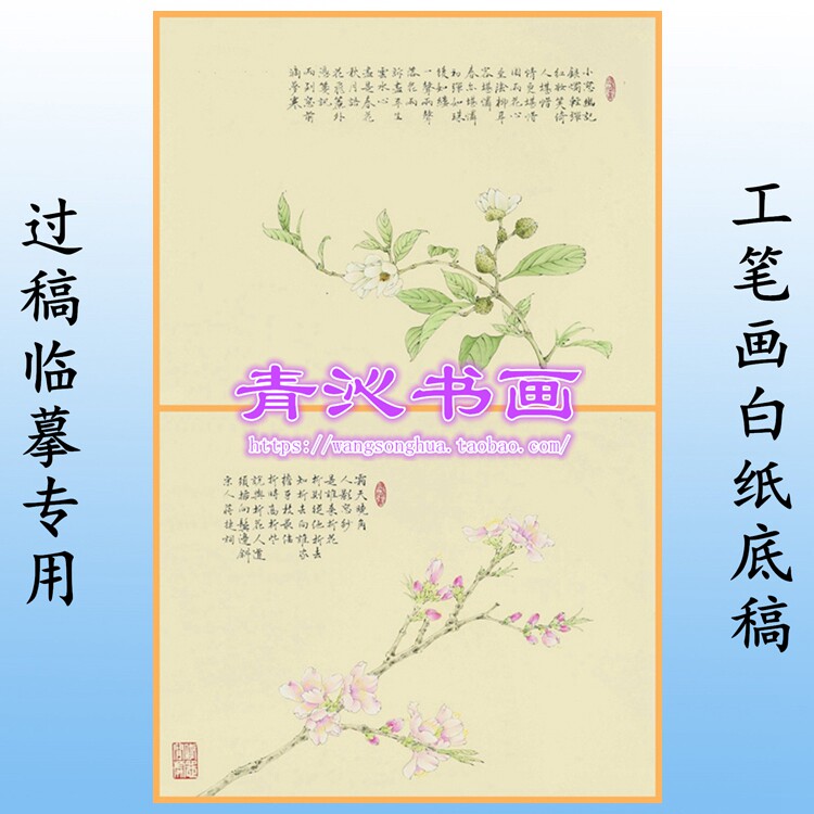 N217宋词元曲含笑花桃花小品花鸟工笔画白描底稿白纸线描国画横幅