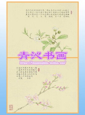 N217宋词元曲含笑花桃花小品花鸟工笔画白描底稿白纸线描国画横幅