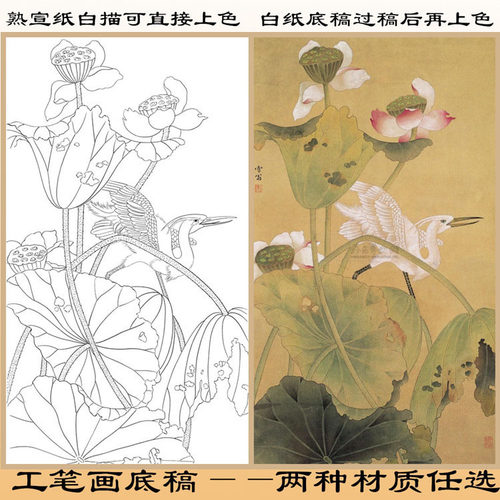 工笔画白描底稿荷花一路高升线描