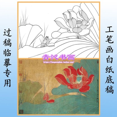 H156荷花工笔画白描底稿实物打印线描国画稿横幅