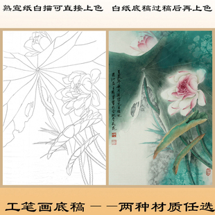 H56荷花现代工笔画白描底稿熟宣画稿直接上色初学临摹描红条幅