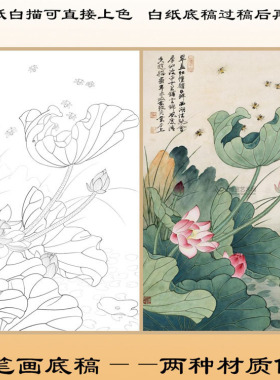 工笔画白纸底稿荷花可直接上色