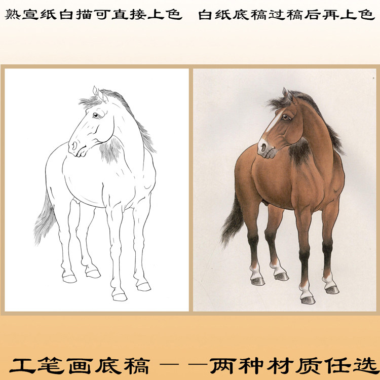 D1骏马动物工笔画白描底稿熟宣纸线描白纸国画稿初学练习用条幅,家居饰品,国画,淘宝优惠券,粉丝福利购,淘宝优惠卷