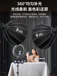 视塔克300W双色温直播补光灯摄影直播间打光灯LED摄影灯人像美颜