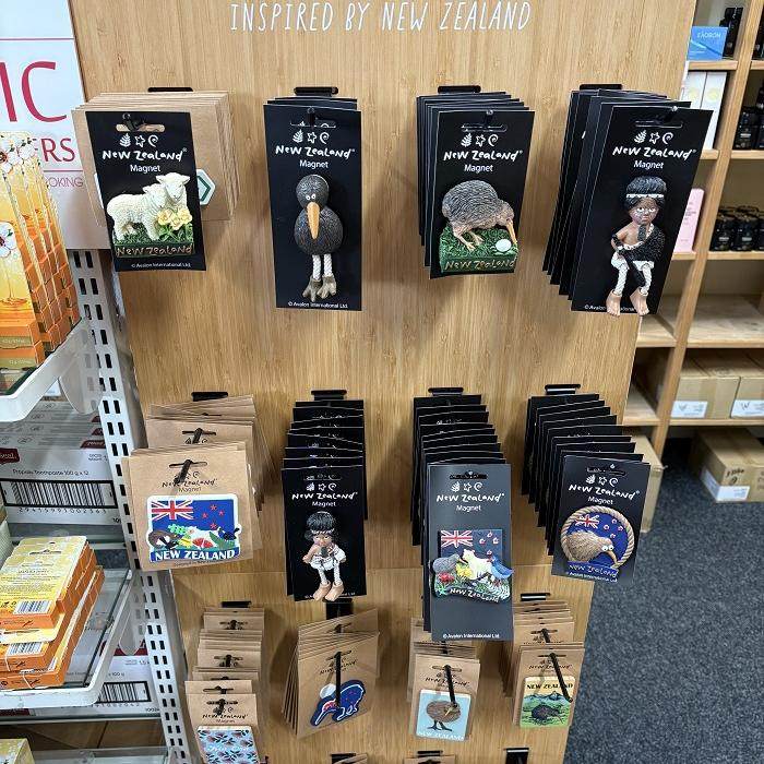 新西兰直邮Kivi鸟冰箱贴仿真动物冰箱贴磁吸款立体创意小众纪念品