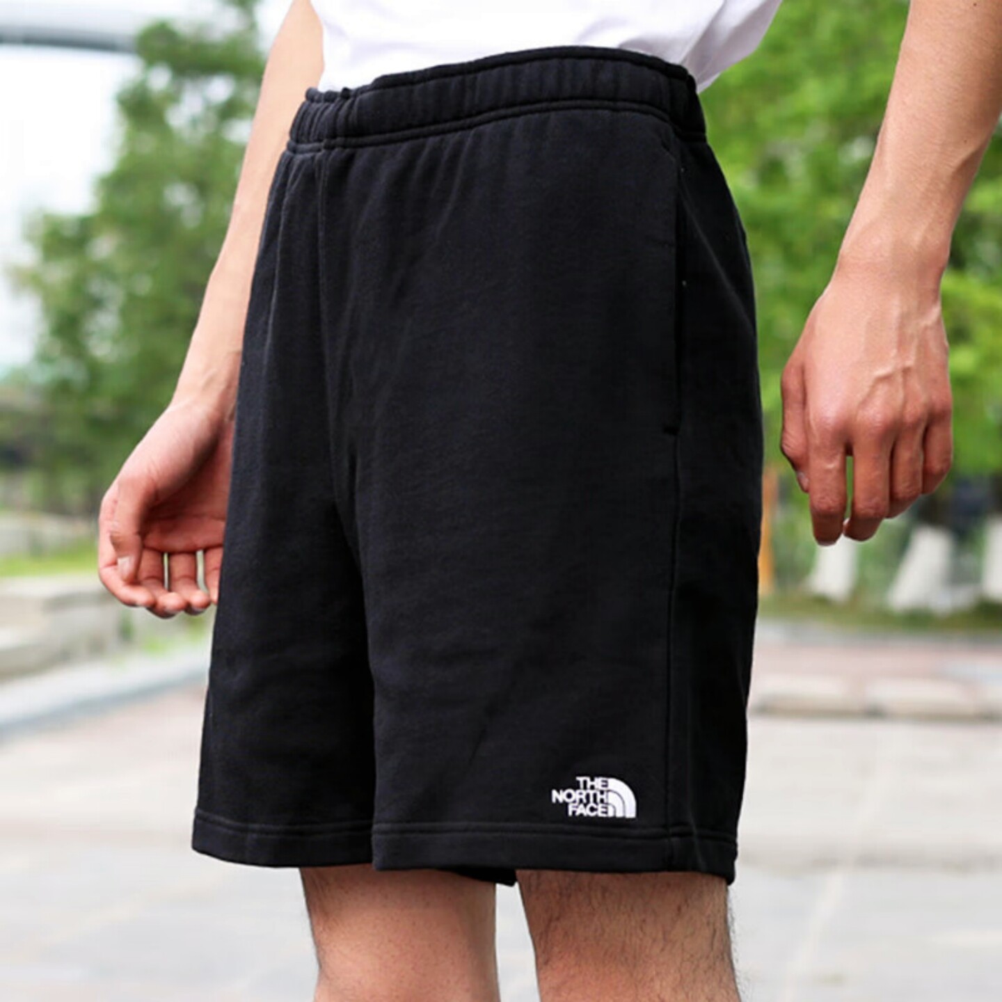 TheNorthFace北面短裤男纯棉针织舒适透气五分裤运动裤卫裤88GD