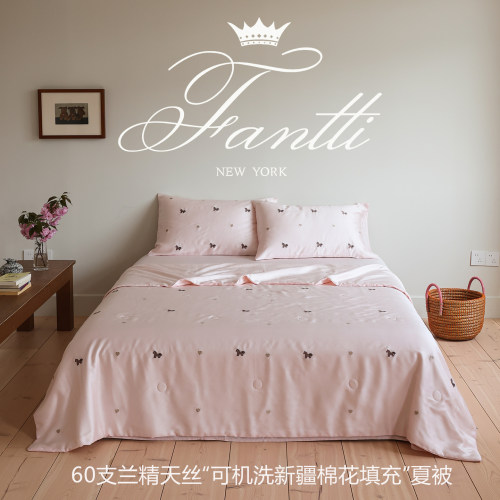 芬缇60S进口天丝绣花新棉花夏被