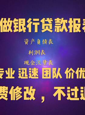 代做财务报表资产负债表利润表损益表现金流量银行贷款招投标制作