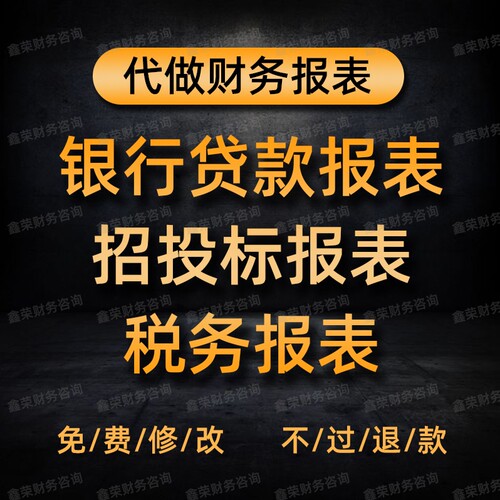 代做财务报表贷款报表招投标资产负债表利润表 资金测算 纳税申报