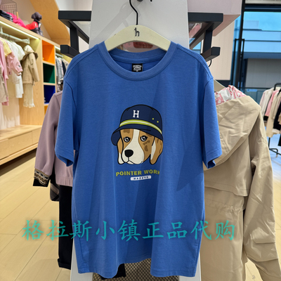 hazzys哈吉斯童装夏男童短袖T恤