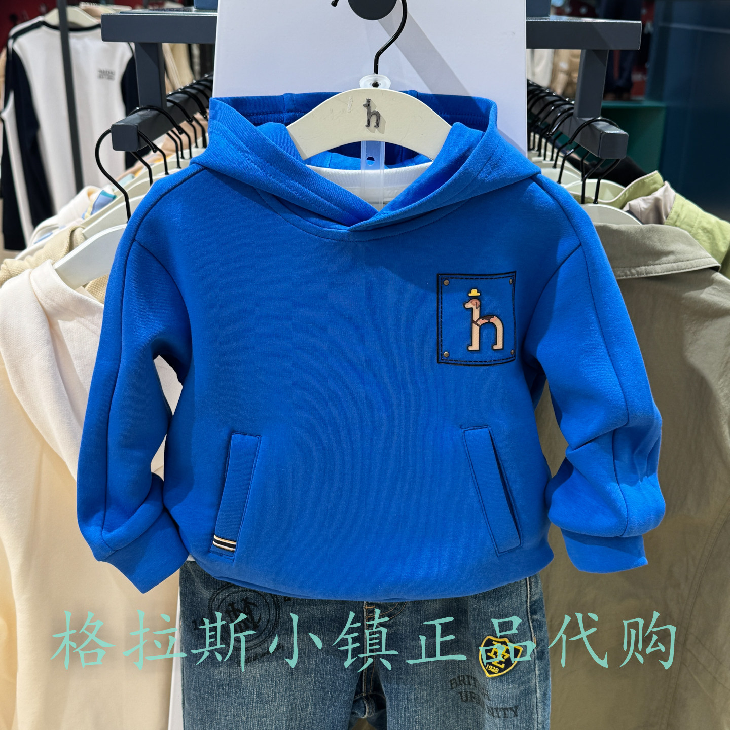 哈吉斯童装秋款男童休闲连帽卫衣图片