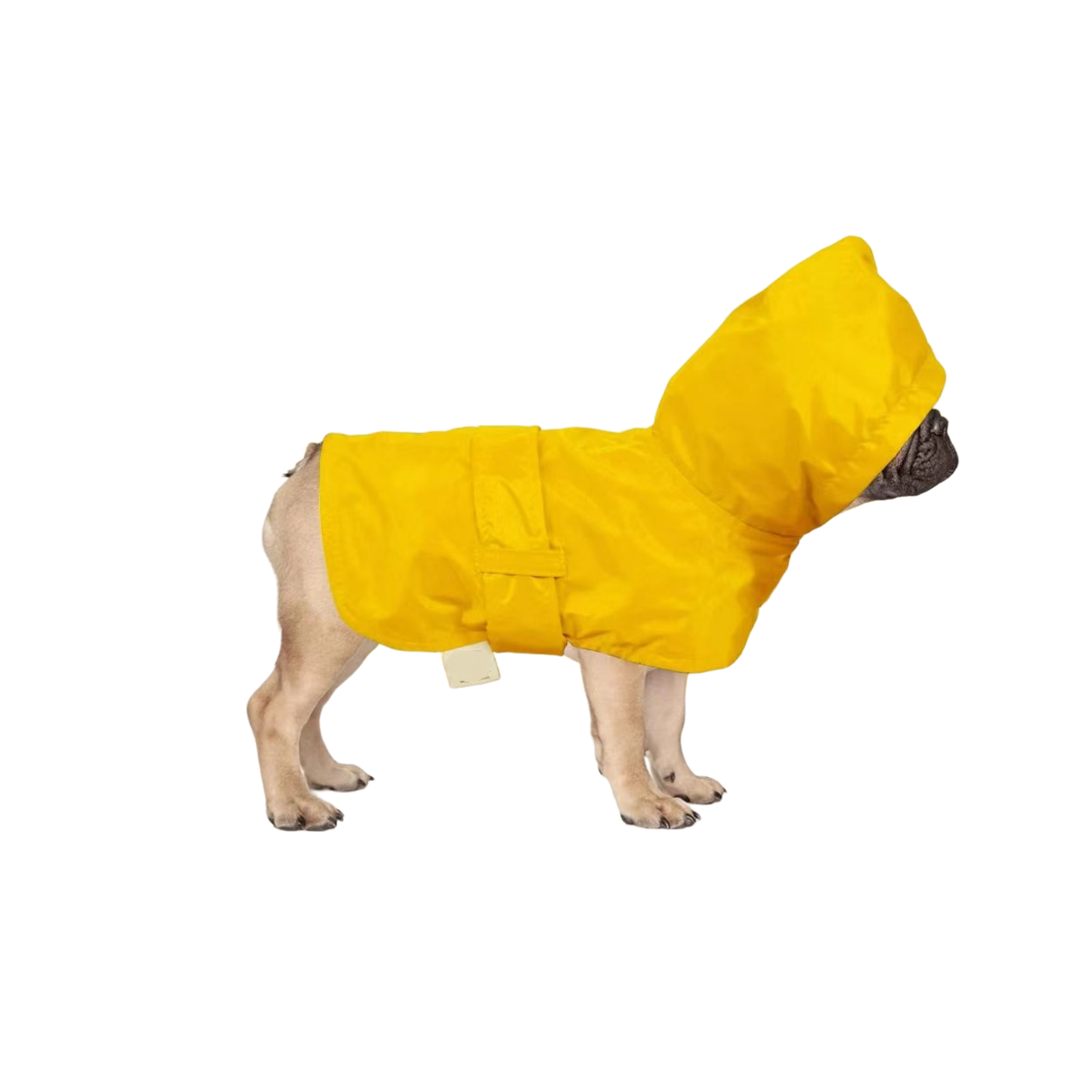 【清仓】爱宠直选  宠物狗狗衣服连体酷帅风衣户外走路防水雨衣