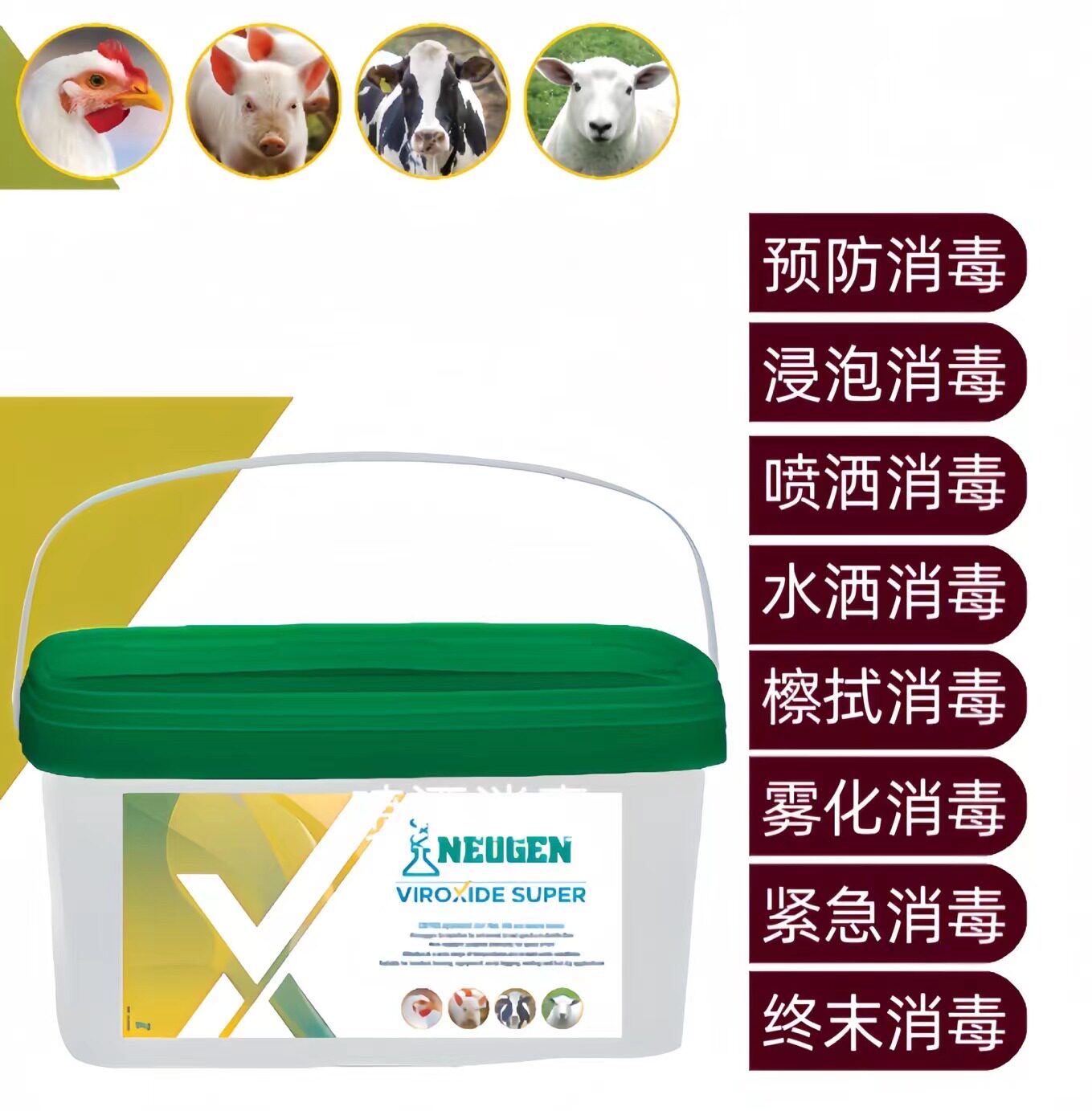 原装进口纽勤卫赛德消毒剂宠物狗猫洗澡杀寄生虫对虾青蛙歪头弧菌