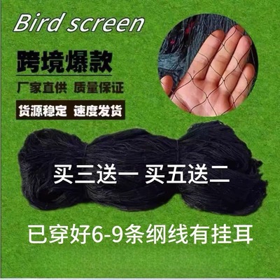 果园2.5孔防鸟网尼龙网草莓樱桃大棚鱼塘鱼池天网防鸟网防护养殖