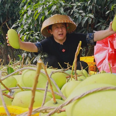 4.6斤小果礼盒装海南金煌芒果【钳子拯救没胃口】