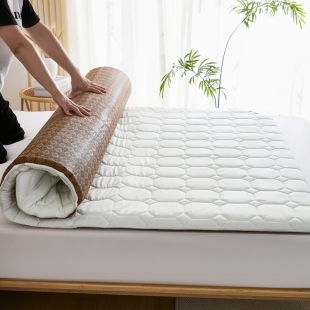 冬夏两用四季床垫家用软垫租房专用床褥榻榻米宿舍学生单人垫被褥