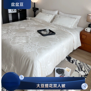 轻奢莱赛尔大提花大豆纤维被芯四季加厚保暖双人春秋冬被5斤8斤