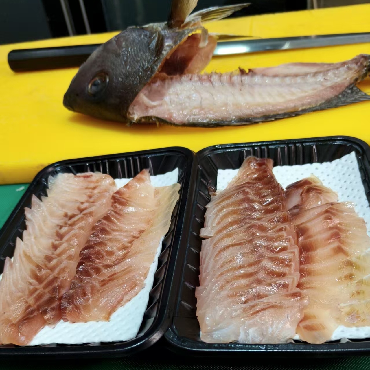 刺身级熟成鱼真鲷鱼金头鲷鱼金石蚌金枪鱼章红黄鰤鱼竹荚鱼青花鱼