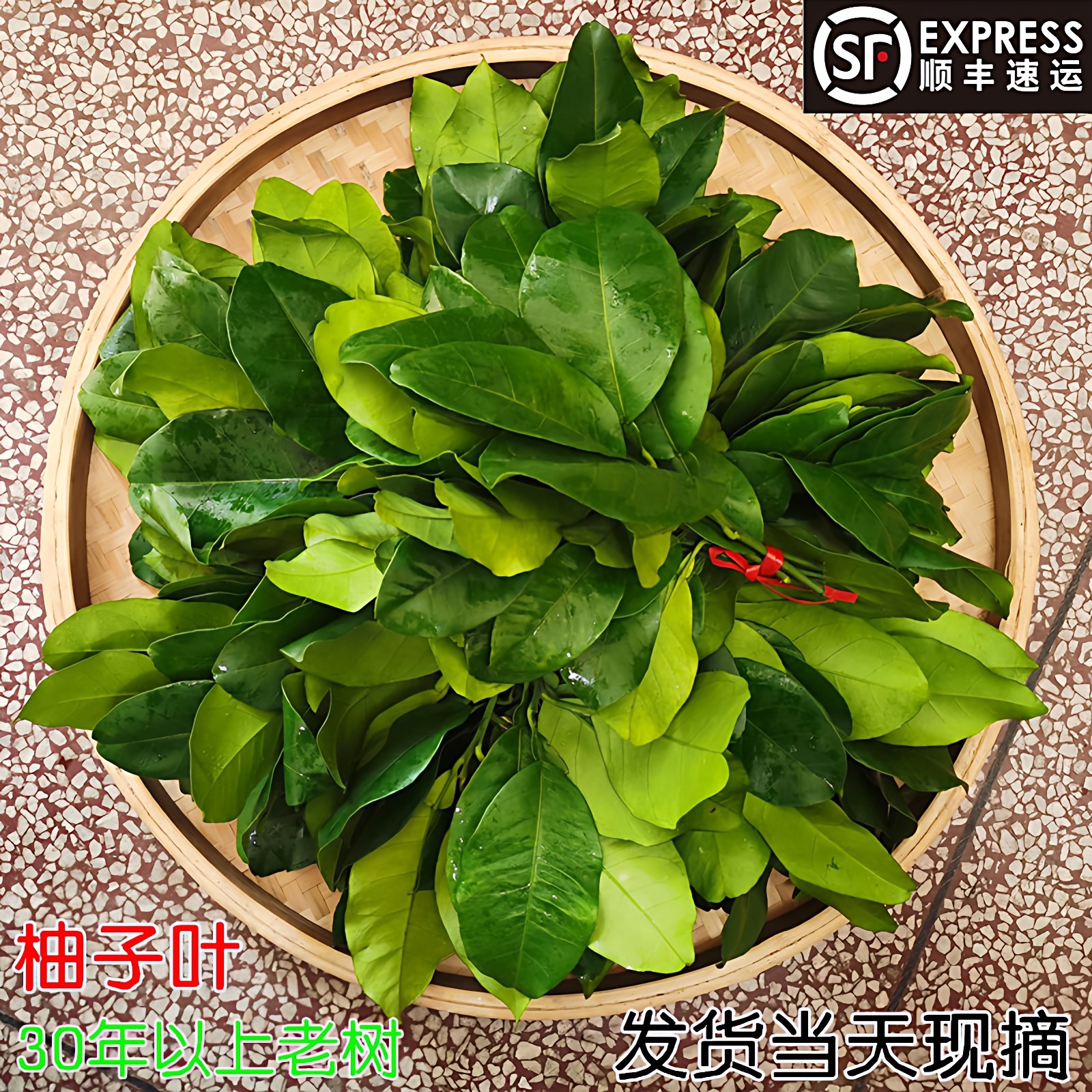 新鲜柚子叶现摘碌柚叶带枝30年老树叶子树叶乔迁新居沐浴青团洗澡,水产肉类/新鲜蔬果/熟食,柚子,淘宝优惠券,粉丝福利购,淘宝优惠卷