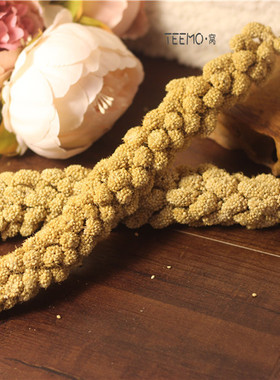 TEEMO 松鼠·仓鼠·鹦鹉小零食【逗鼠棒·小米穗】一支装