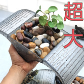 乌龟缸晒台大号爬台造景晒背养乌龟专用晒岛PC塑料送鹅卵石头大型