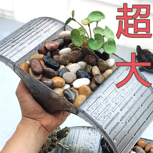 乌龟缸晒台大号爬台造景晒背养乌龟专用晒岛PC塑料送鹅卵石头大型