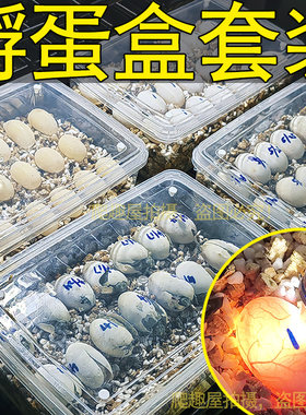 龟蛋孵化盒爬宠孵蛋盒孵化材料垫材套装孵化器孵蛋容器大颗粒蛭石