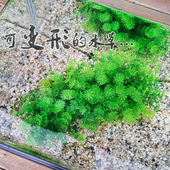 鱼缸造景仿真水草塑料假花草球形草可变形乌龟缸布景装 饰沉水植物