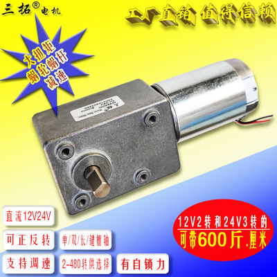 三拓电机12V24V大扭矩蜗杆减速
