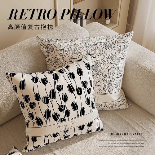 法式简约高级感抱枕轻奢靠枕床上客厅沙发抱枕套靠垫含芯枕头批发