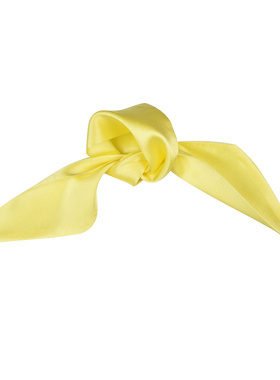 Glee rainbow 经典欧美鹅黄mini装饰造型手腕巾绑发缎面小丝巾