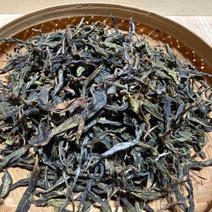 【国有林预售特价】2026春易武白茶园古树茶黄金叶 200克普洱砖茶