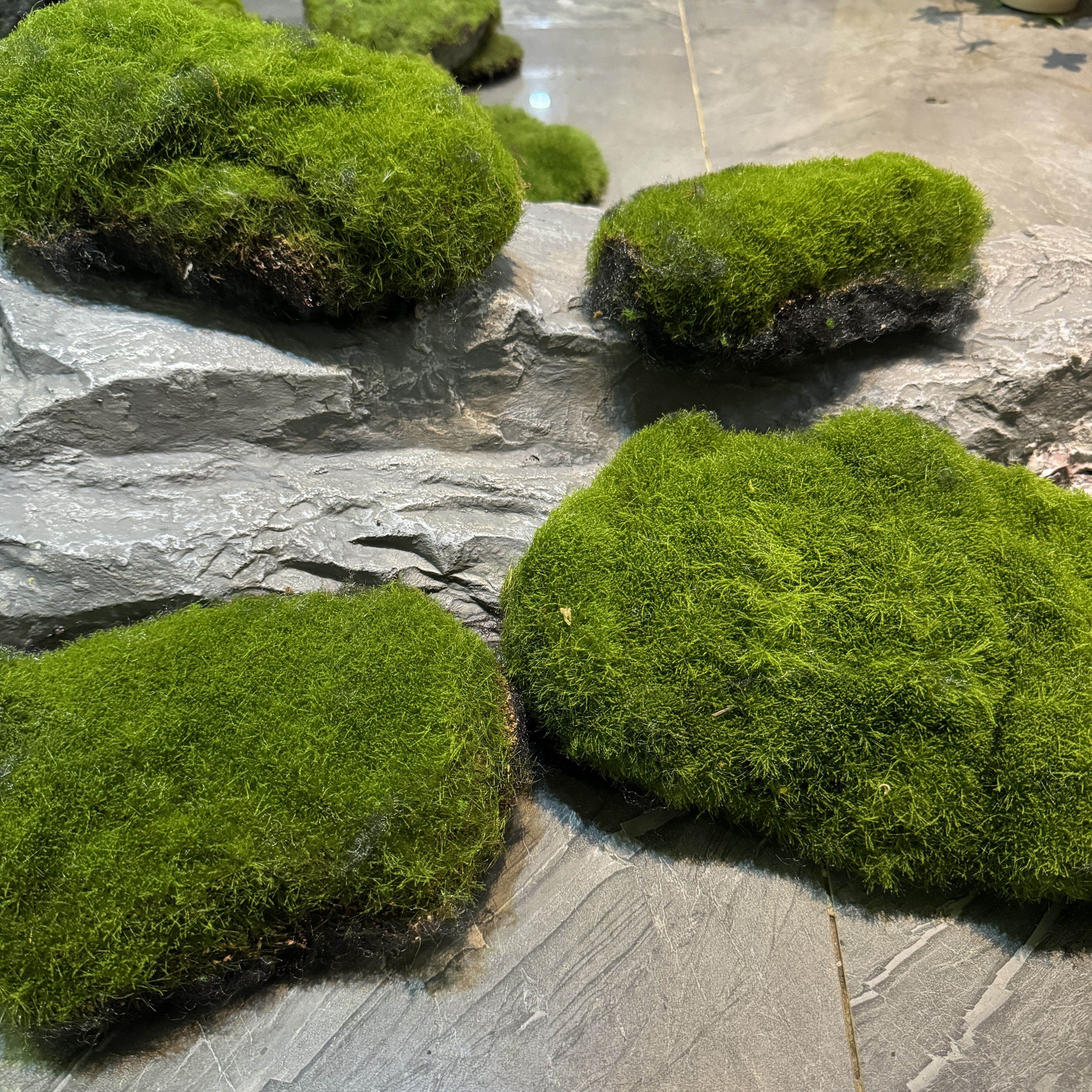 留夏苔藓皮苔藓块青苔植绒摆件软装造景假山草皮草坪毛石头仿真苔