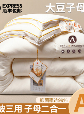 大豆被子母被二合一拉链款冬被四季春秋被芯单人双人空调夏被棉被