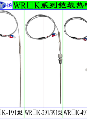 WRNK-191 Φ6mm铠装热电偶 直接出线 WREK2-291 391 491 591