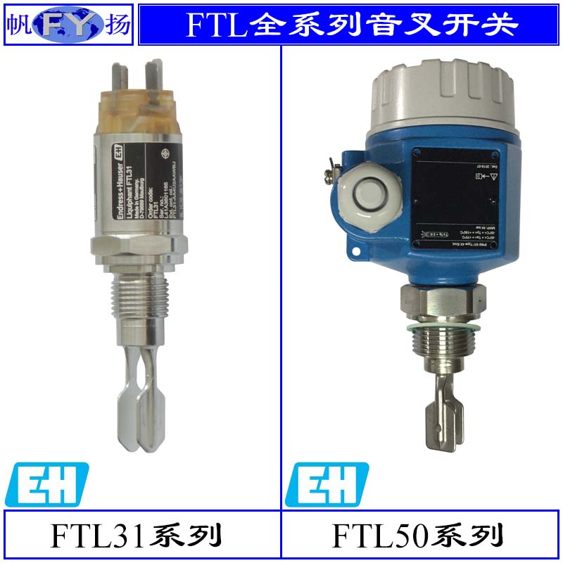 原装德国E+H FTL20 FTL31 FTM20系列音叉液位开关液位计FTL50