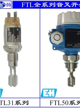 原装德国E+H FTL20 FTL31 FTM20系列音叉液位开关 液位计FTL50