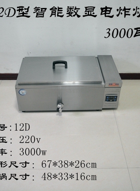 12D型智能数显3000W电炸锅油炸锅电炸炉油炸炉炸油条机炸薯塔机