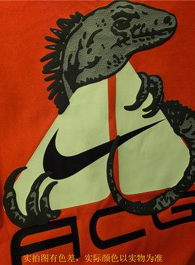 NIKE短袖男子DRI-FITT恤透气