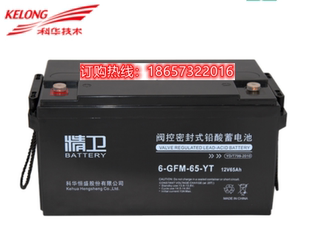 12V65AH 科华精卫蓄电池6 直流屏用UPS电源用蓄电池 GFM